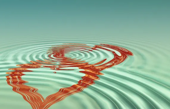 Casollo Casino Podrška